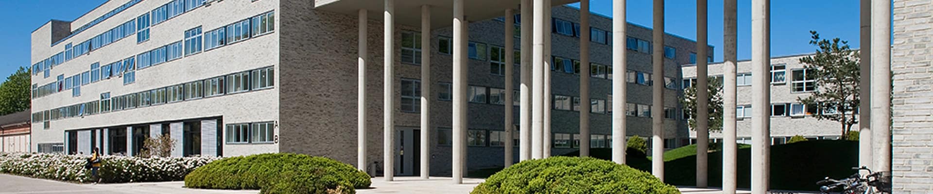 جامعة كونستراكتور الألمانية
